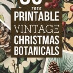 Vintage Christmas Botanicals Artsydee
