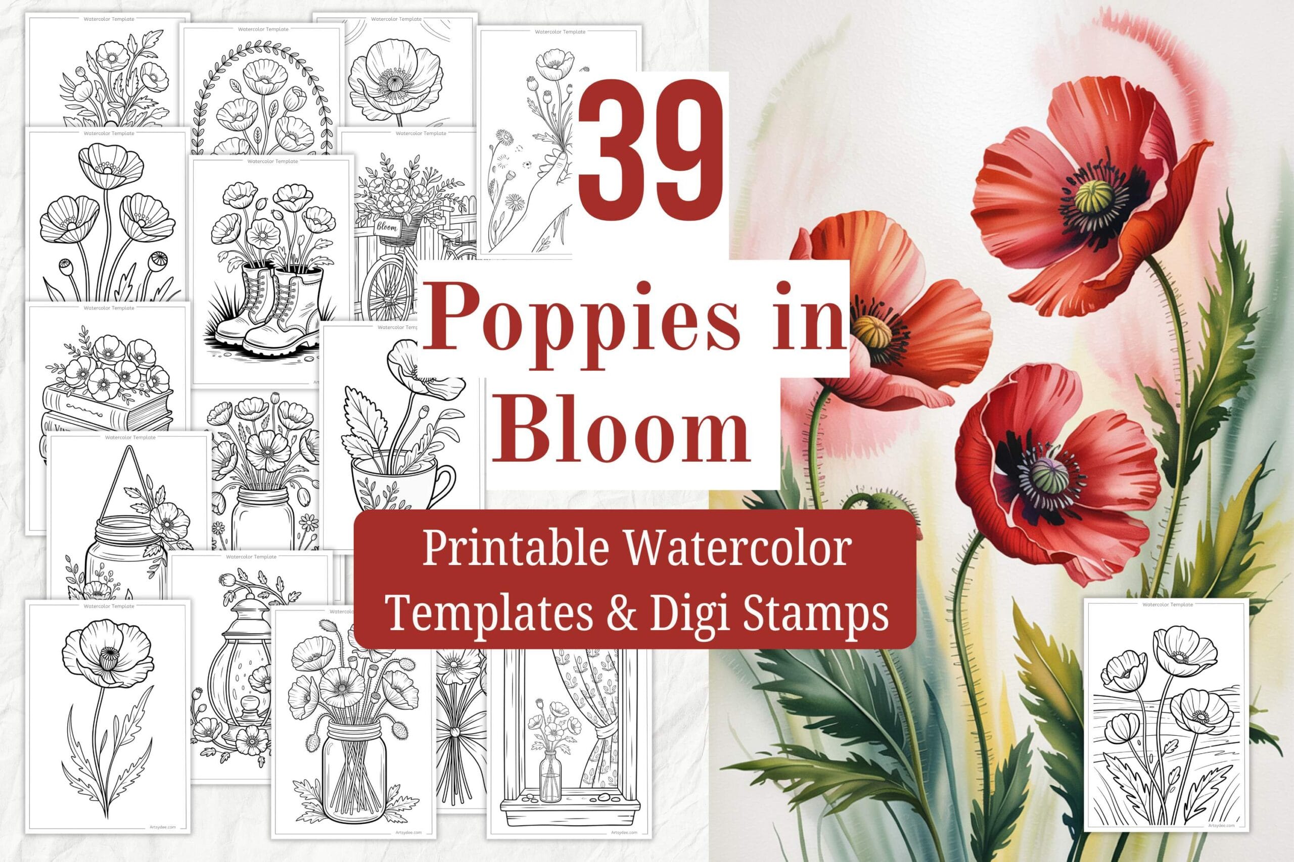 poppy flower watercolor sketch outlines