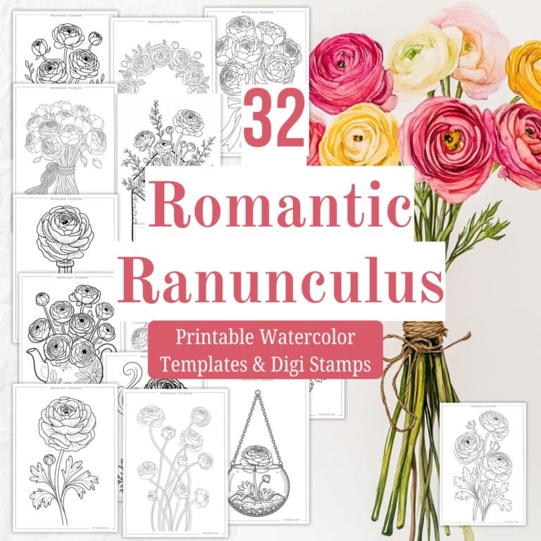 romantic ranunculus watercolor templates