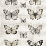 moth junk journal ephemera