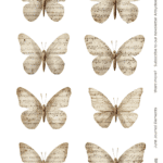 moth junk journal ephemera