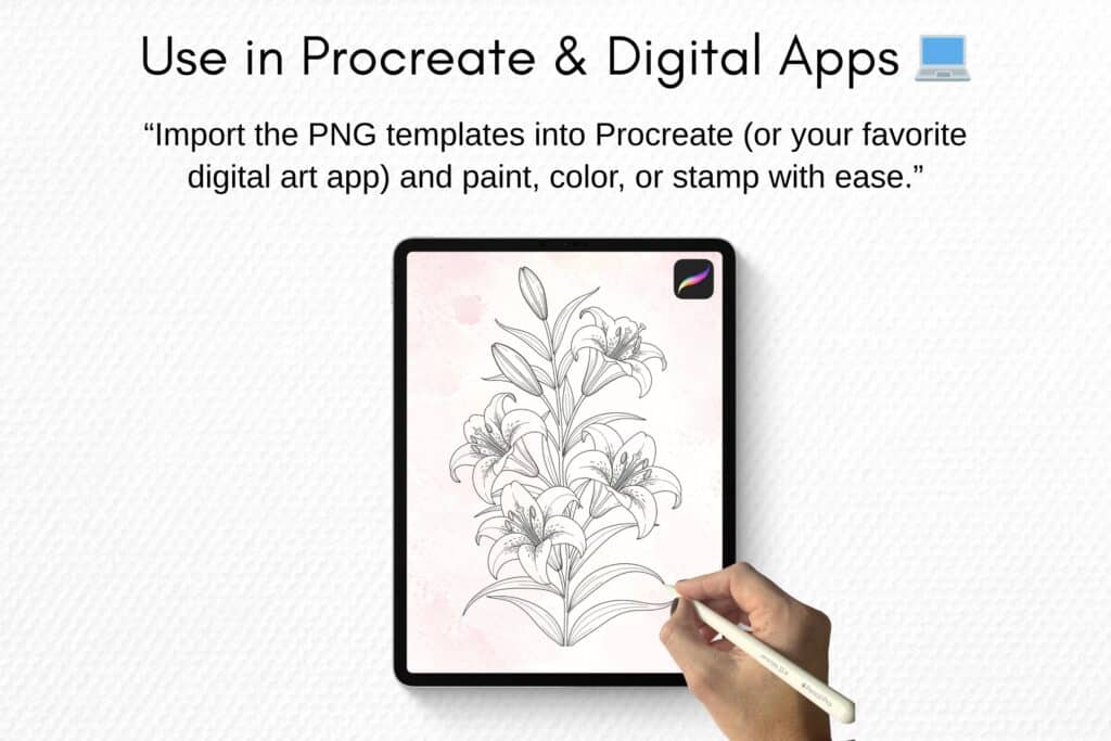 Lily watercolor templates & digital stamps