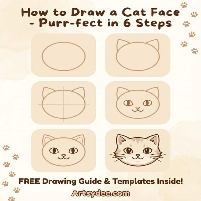 how to draw a cat face