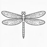 free drawing templates