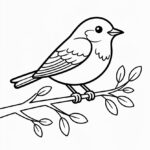 free drawing templates