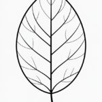 free drawing templates