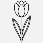 free drawing templates