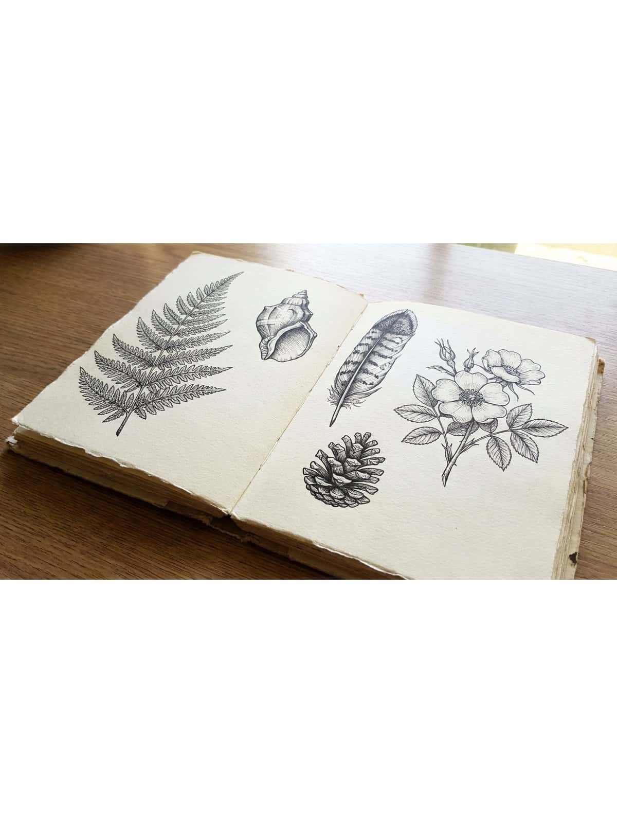 Different pen types for sketching including fineliners ballpoint pens and brush pens on a sketchbook page