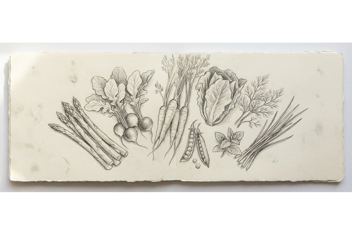 Pencil sketch of a spring landscape with blooming trees and a garden path in a sketchbook