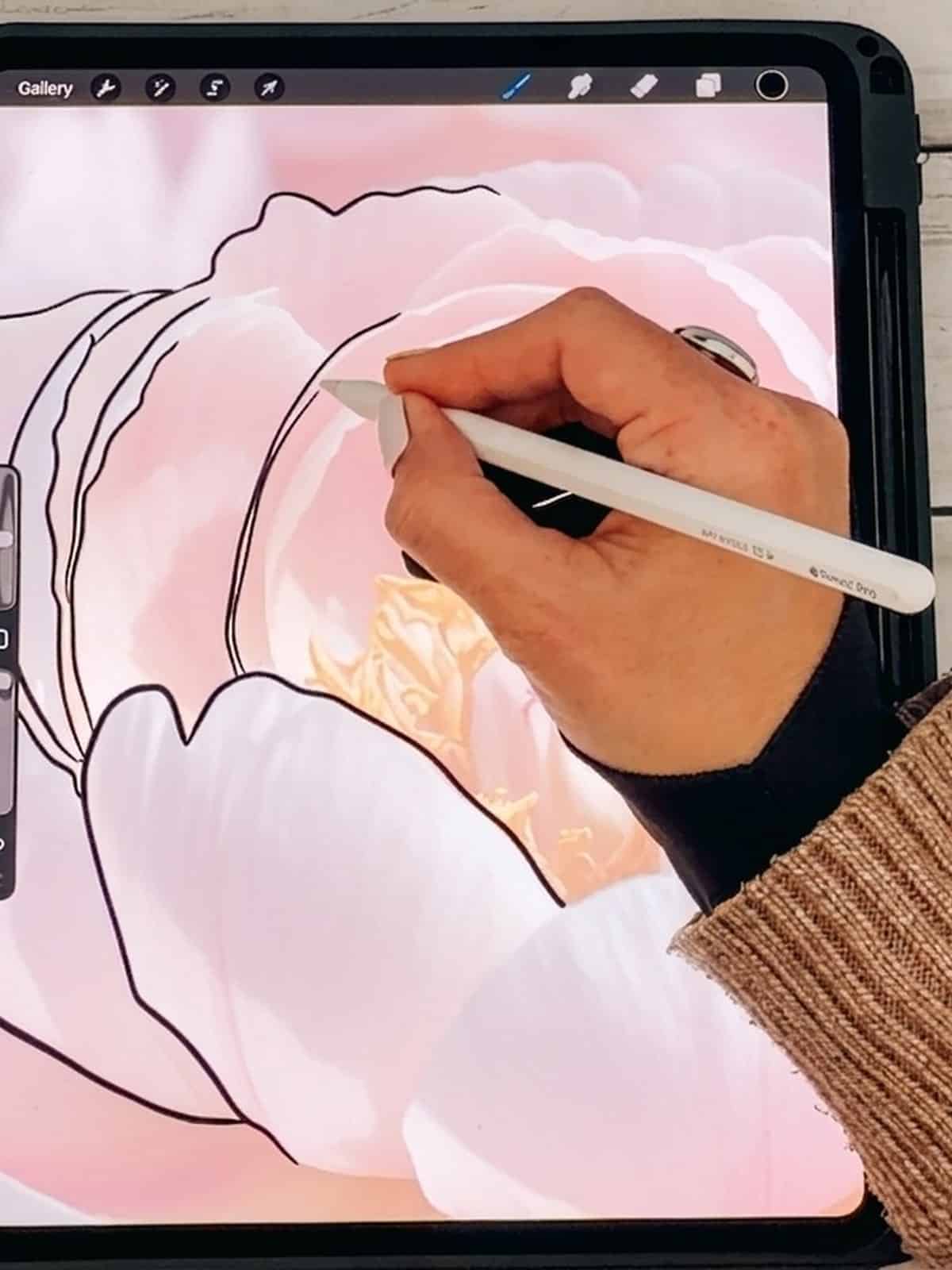 Overhead shot of an iPad in Procreate with a peony photo and a hand tracing the first petals using an Apple Pencil