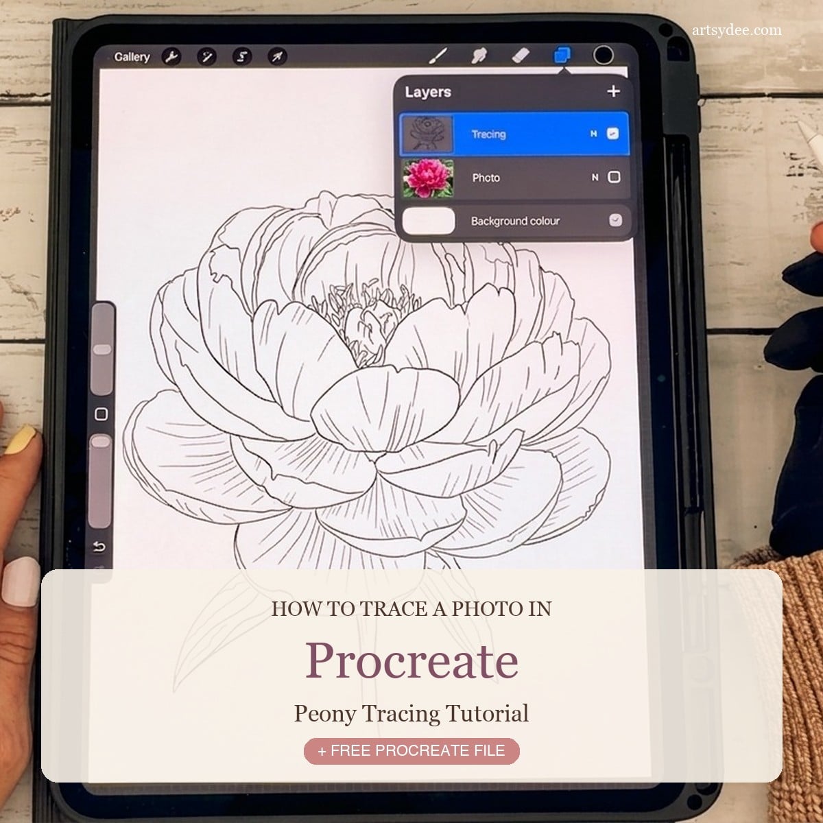 How to trace a photo in Procreate &mdash; peony tutorial featured image showing an iPad with the finished peony line drawing and Procreate layers panel