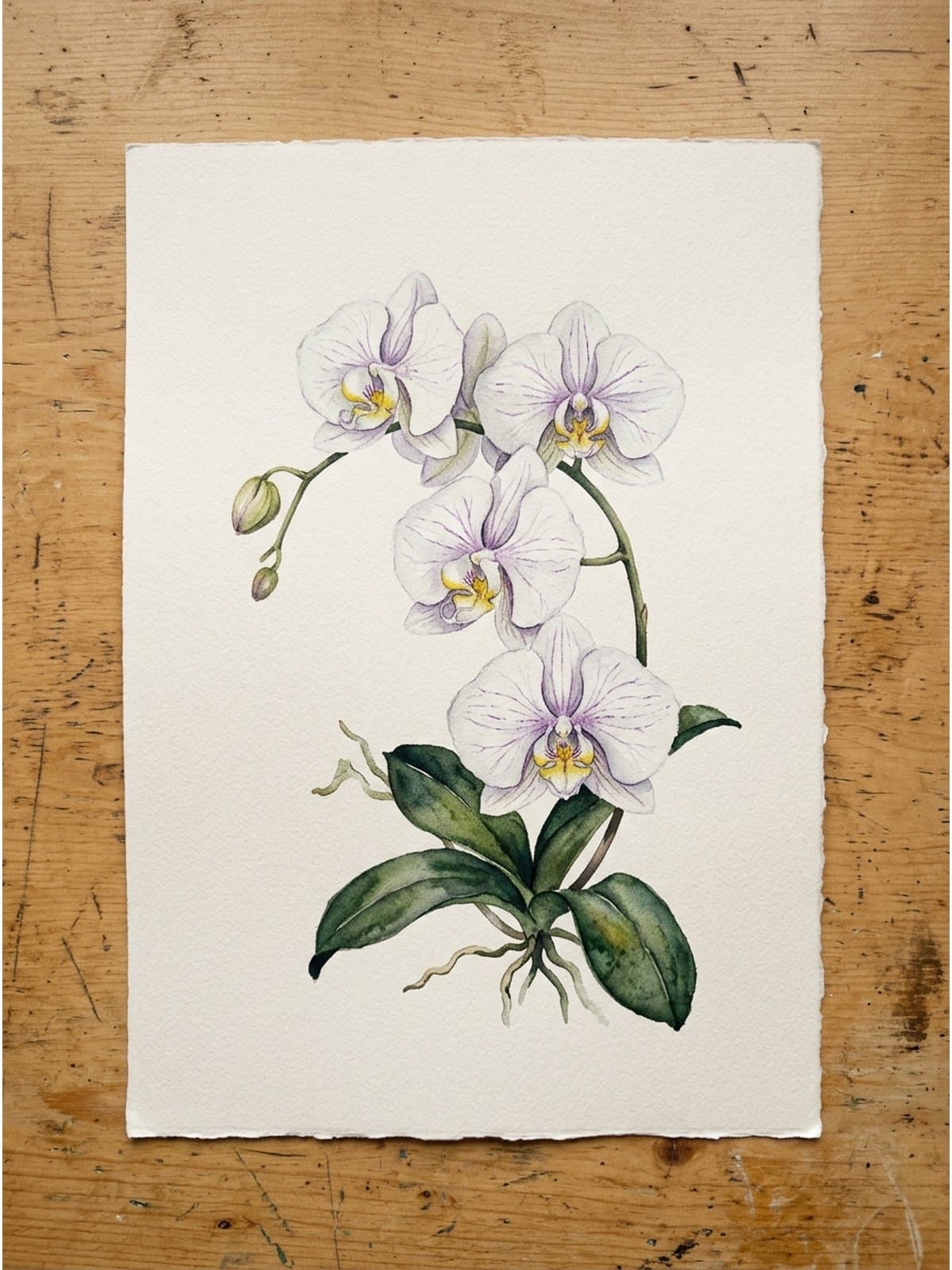 Loose watercolor painting of orchids on cold press watercolor paper