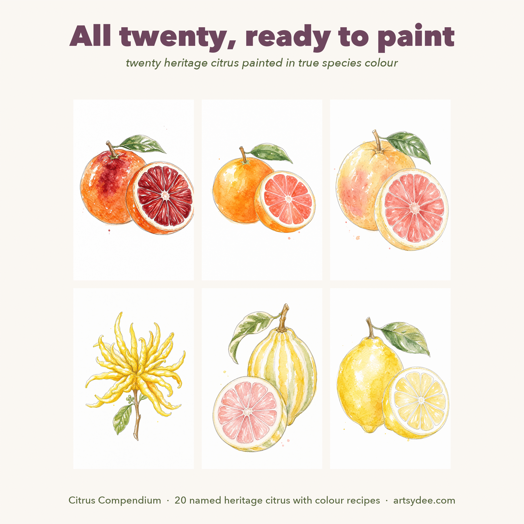 Citrus Compendium watercolour template set — twenty citrus varieties with colour recipe cards