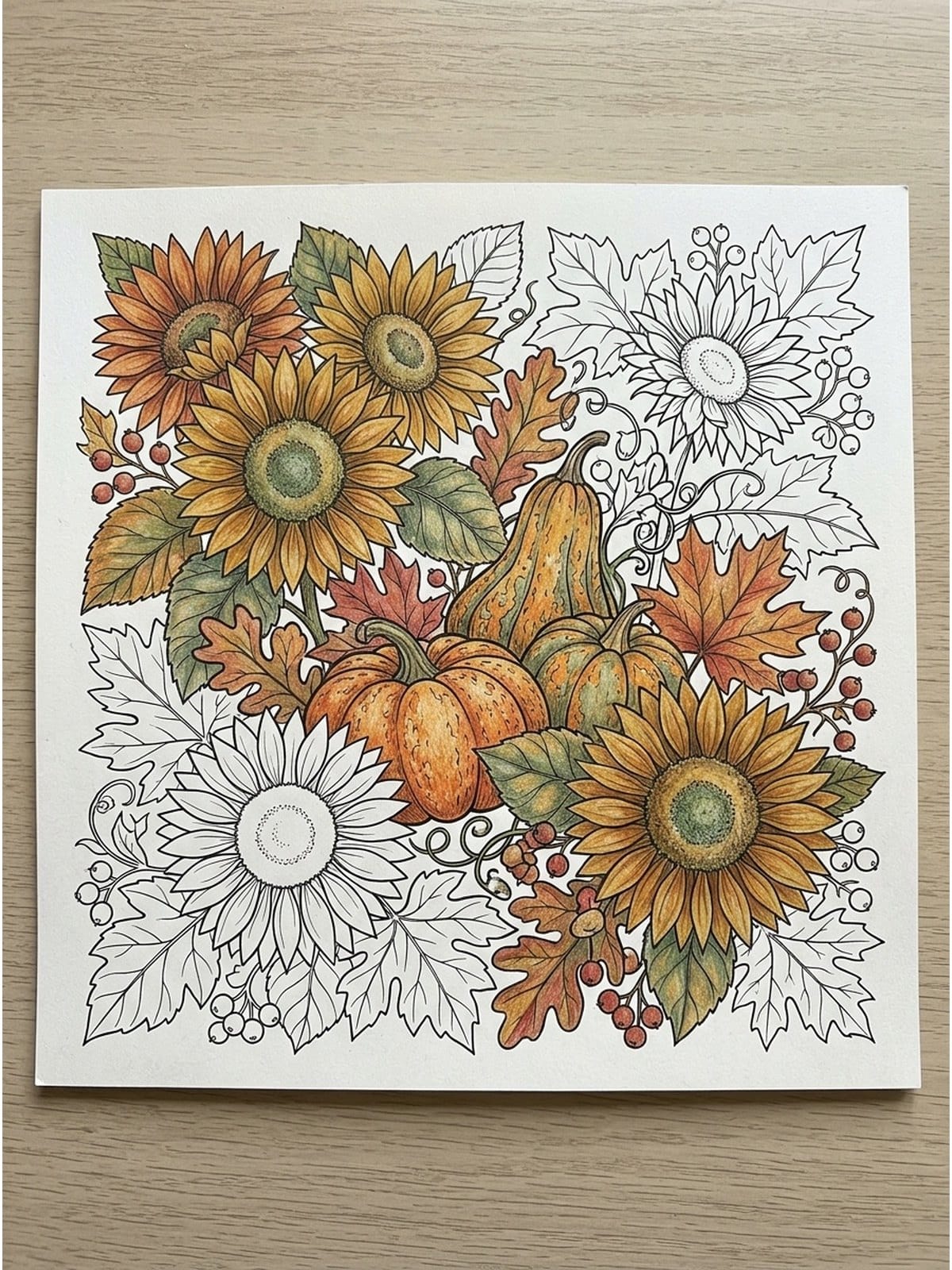 pumpkin patch autumn still life adult coloring page partly colored
