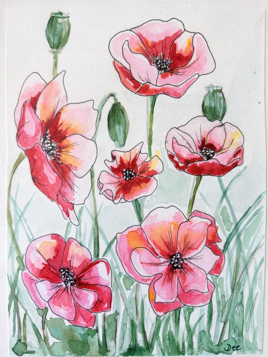Original watercolour and ink poppies painting by Dee of Artsydee