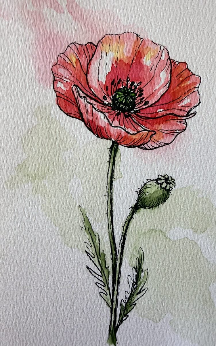 Loose watercolour and ink poppy painting by Dee of Artsydee