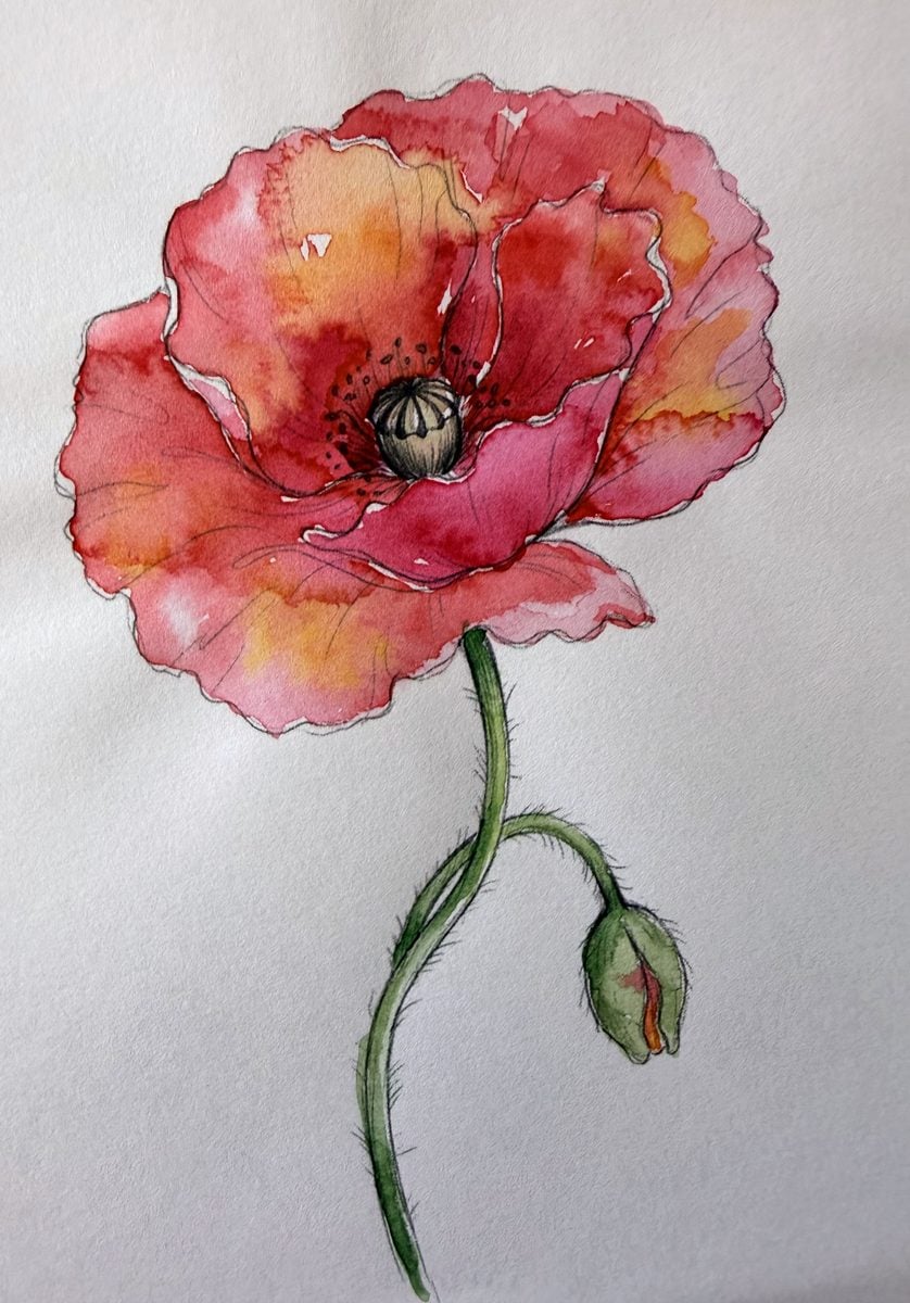 Original watercolour single red poppy painting by Dee of Artsydee