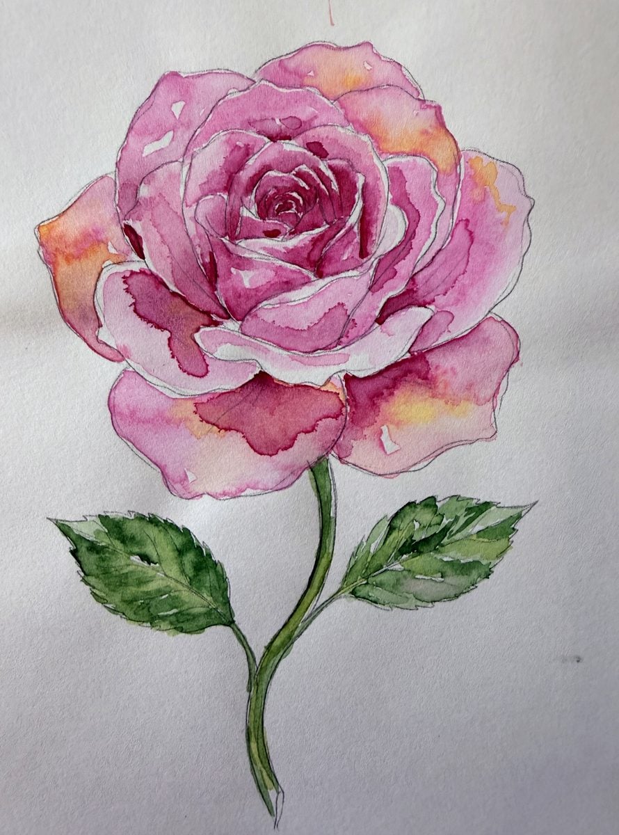 Original watercolour pink rose painting by Dee of Artsydee