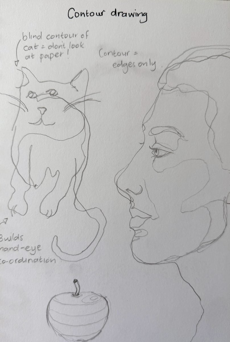 Pencil contour line drawing study by Dee of Artsydee