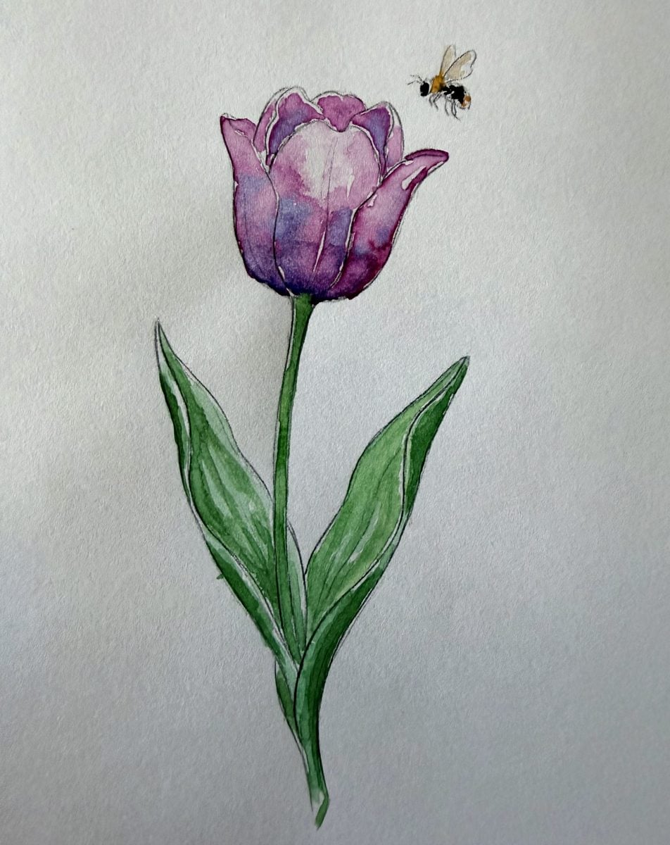 Original watercolour purple tulip and bee painting by Dee of Artsydee