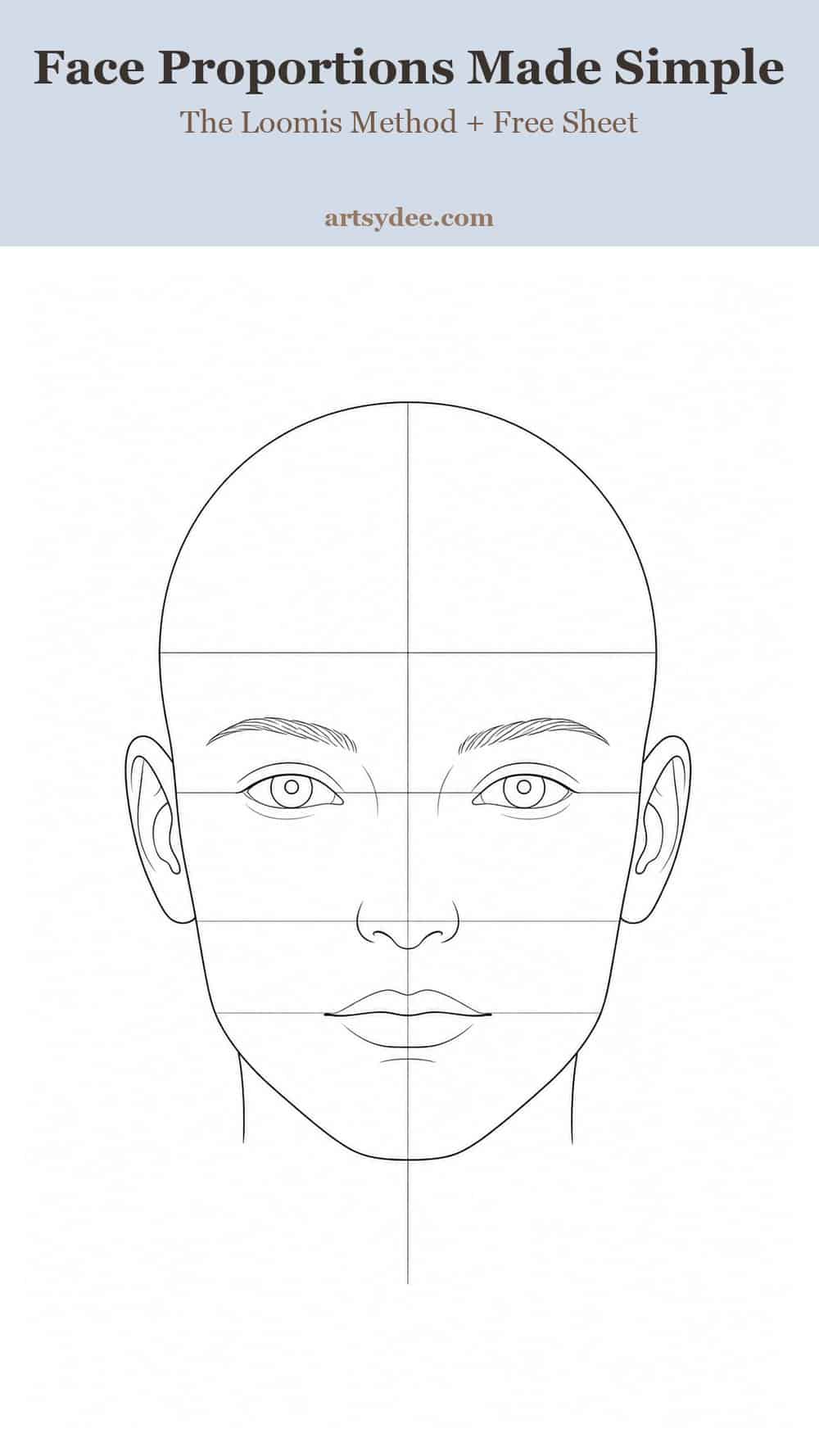 Face proportions made simple using the Loomis method, from the free reference sheet