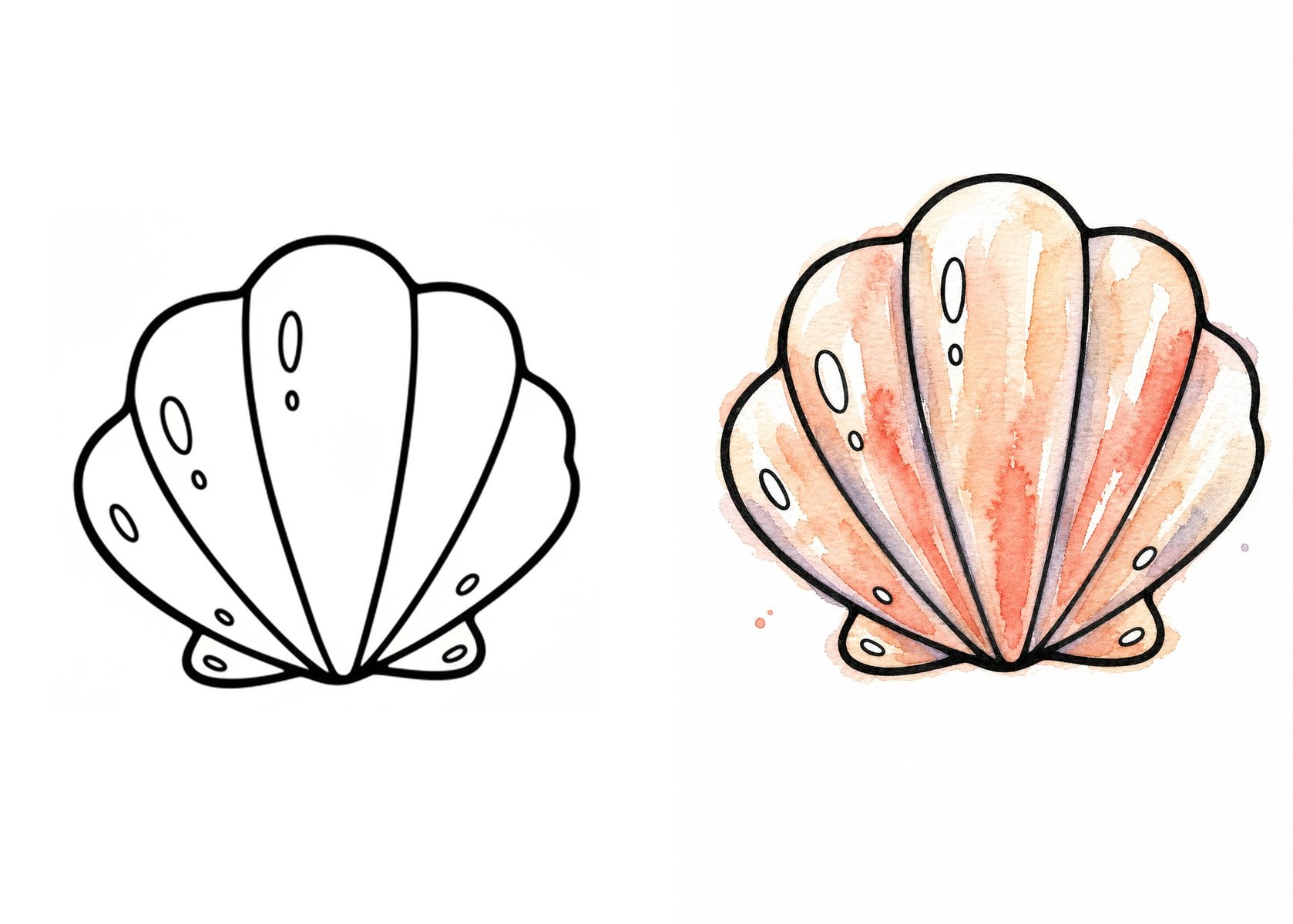 Seashell summer drawing template before and after painting with watercolor