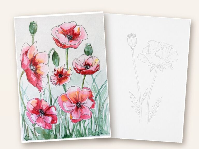 Poppy painting template — lineart sheet and Dee's painted poppies