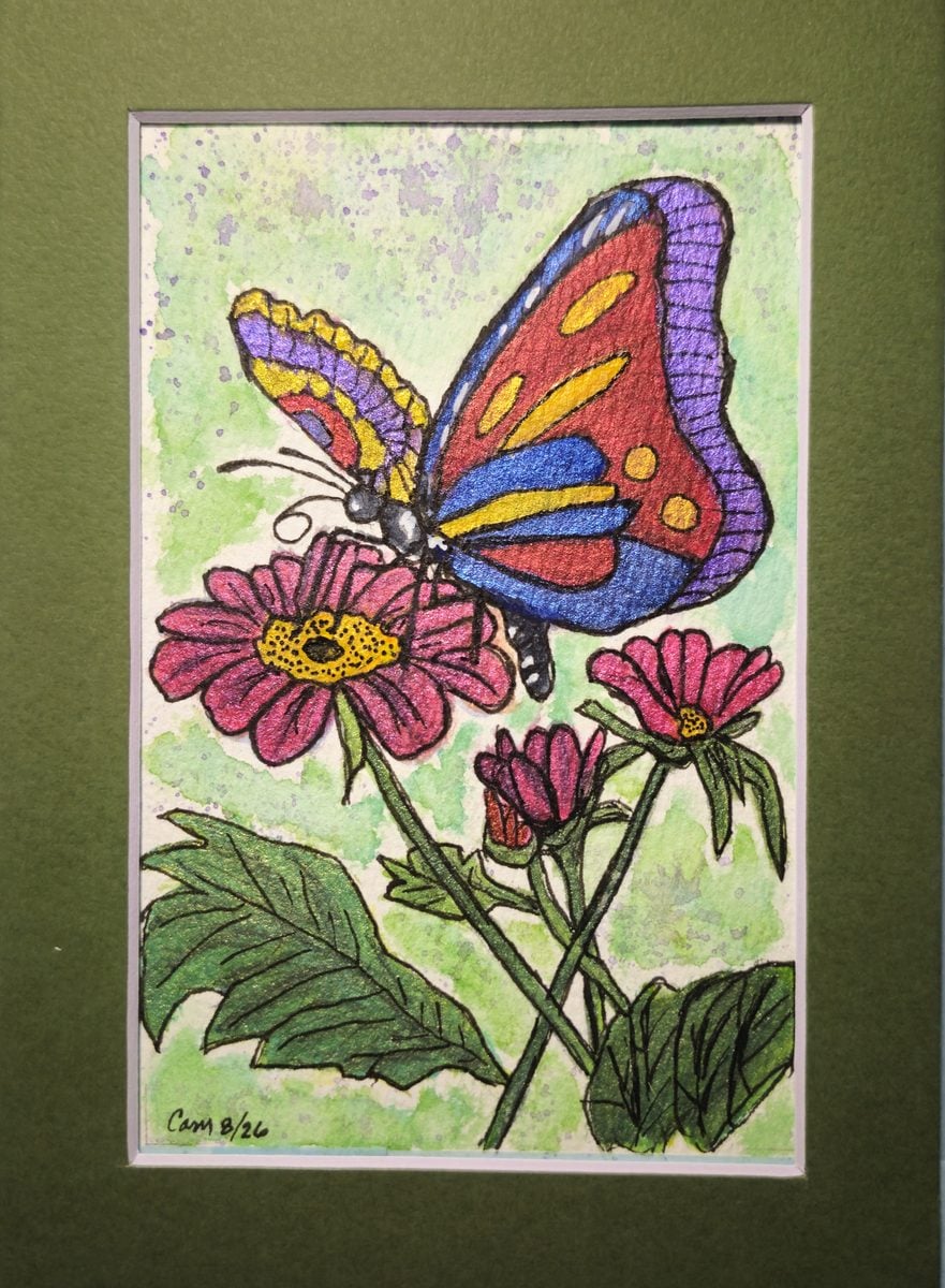 Finished butterfly and flower watercolour painting by reader Cheryl M., shown in a green mount