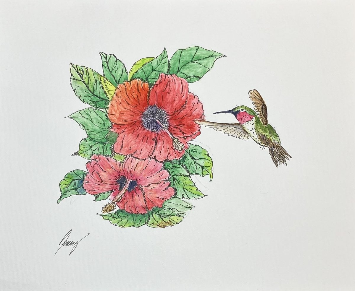 Hibiscus and hummingbird watercolour and ink painting by reader Richard Y.