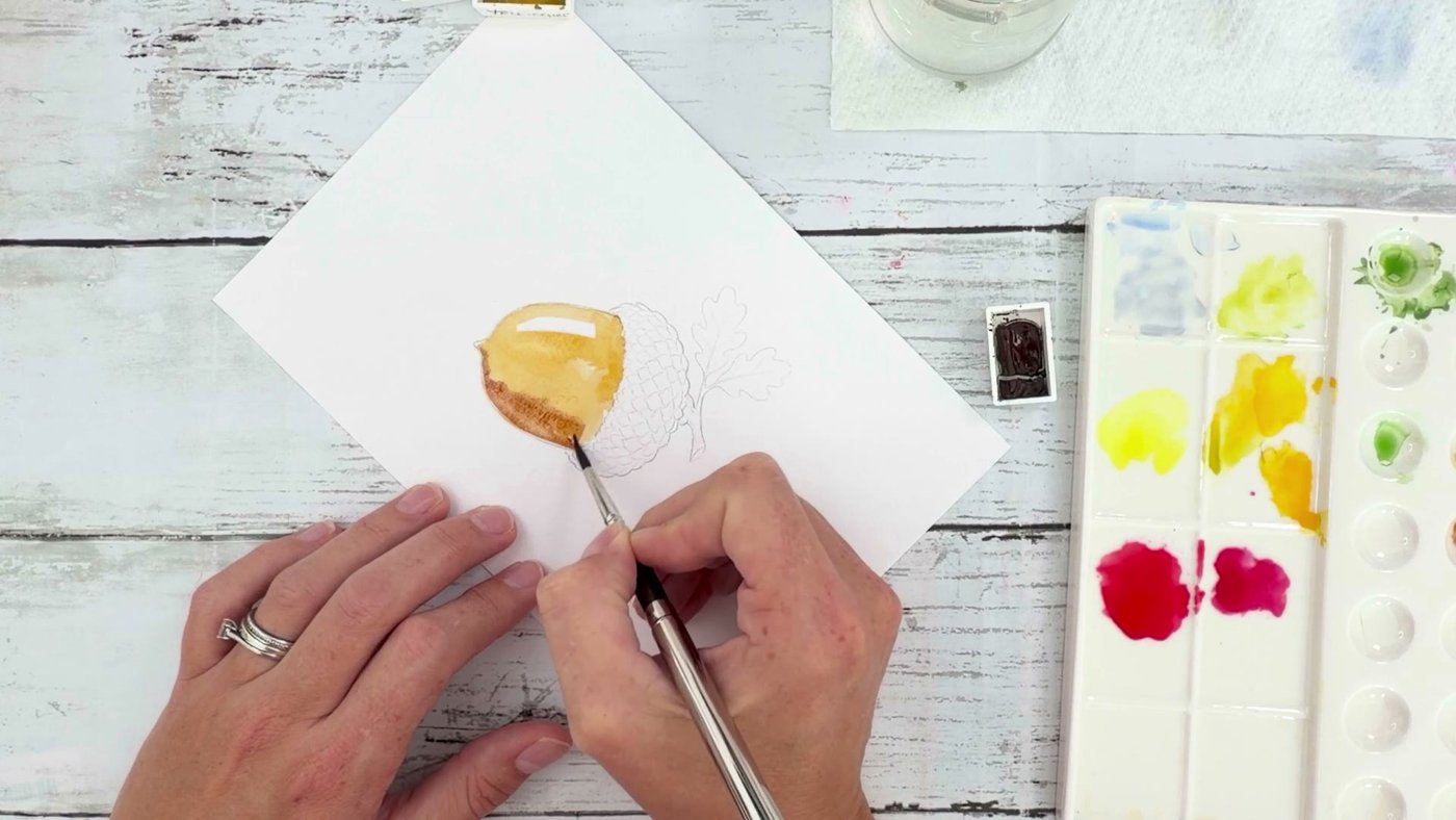 Dropping burnt umber into the top of the acorn while the ochre wash is still wet