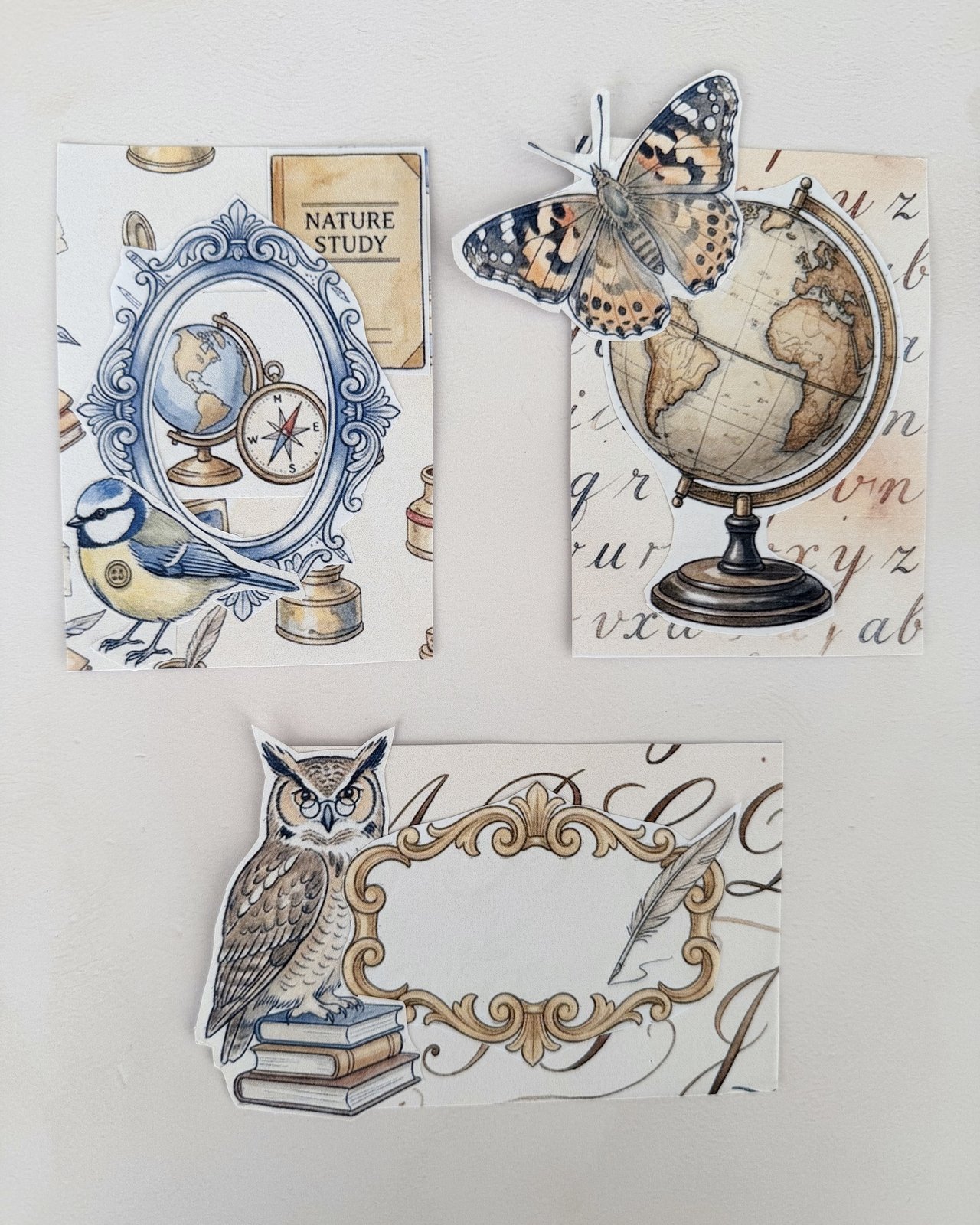Artist trading card pieces with a nature study label, a globe, a butterfly and an owl frame