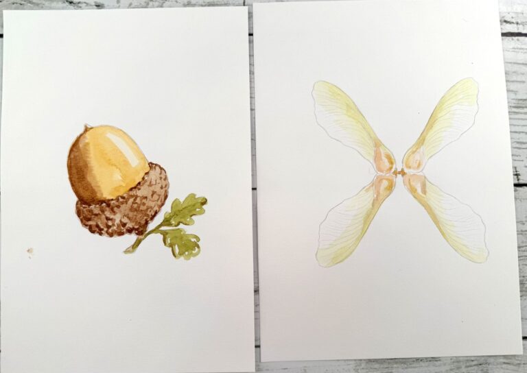A finished watercolor acorn with oak leaves and a pair of pale golden maple keys painted by Dee on printed templates