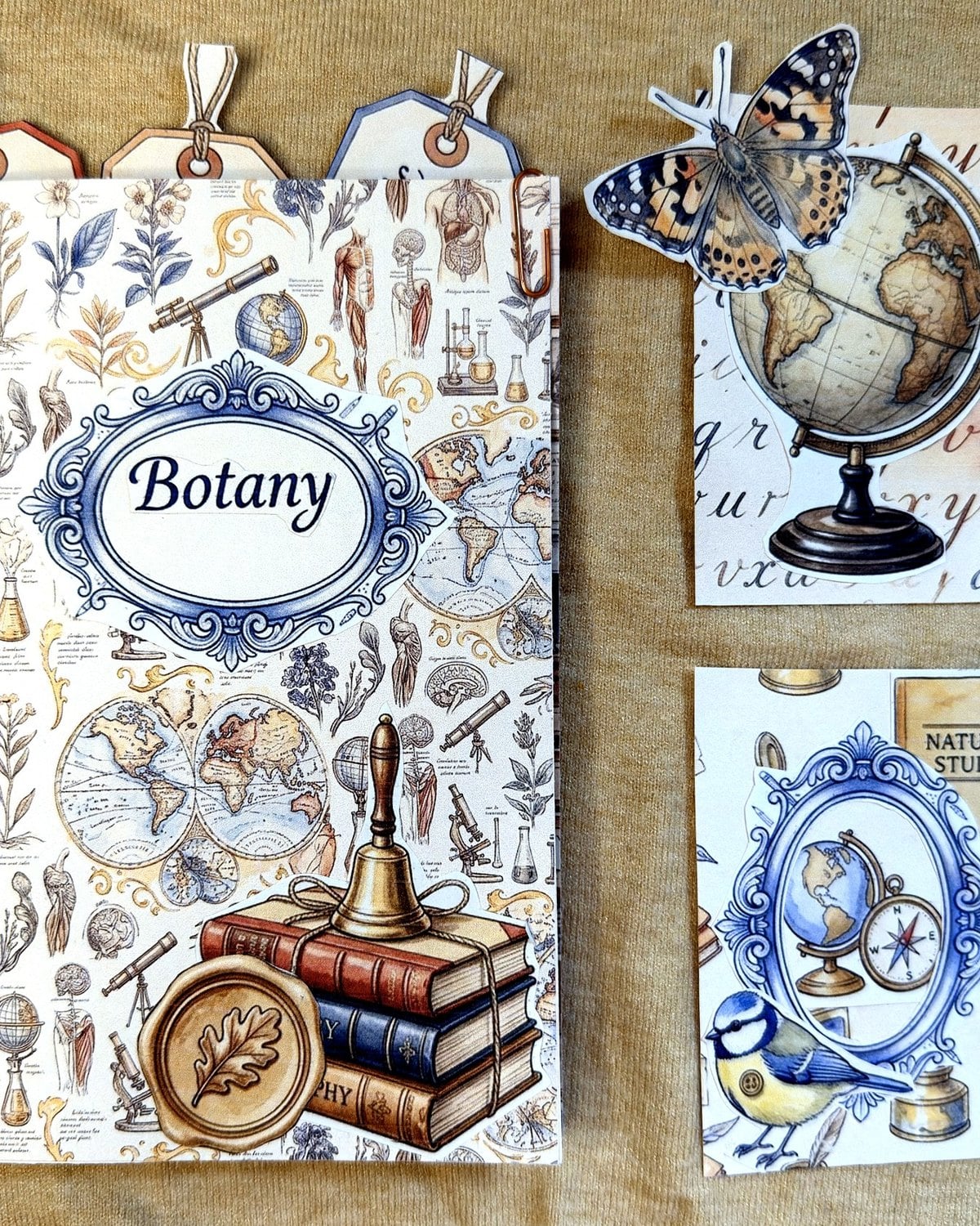 Subject tags for Botany, Latin and Geography threaded together and tucked into a folio pocket