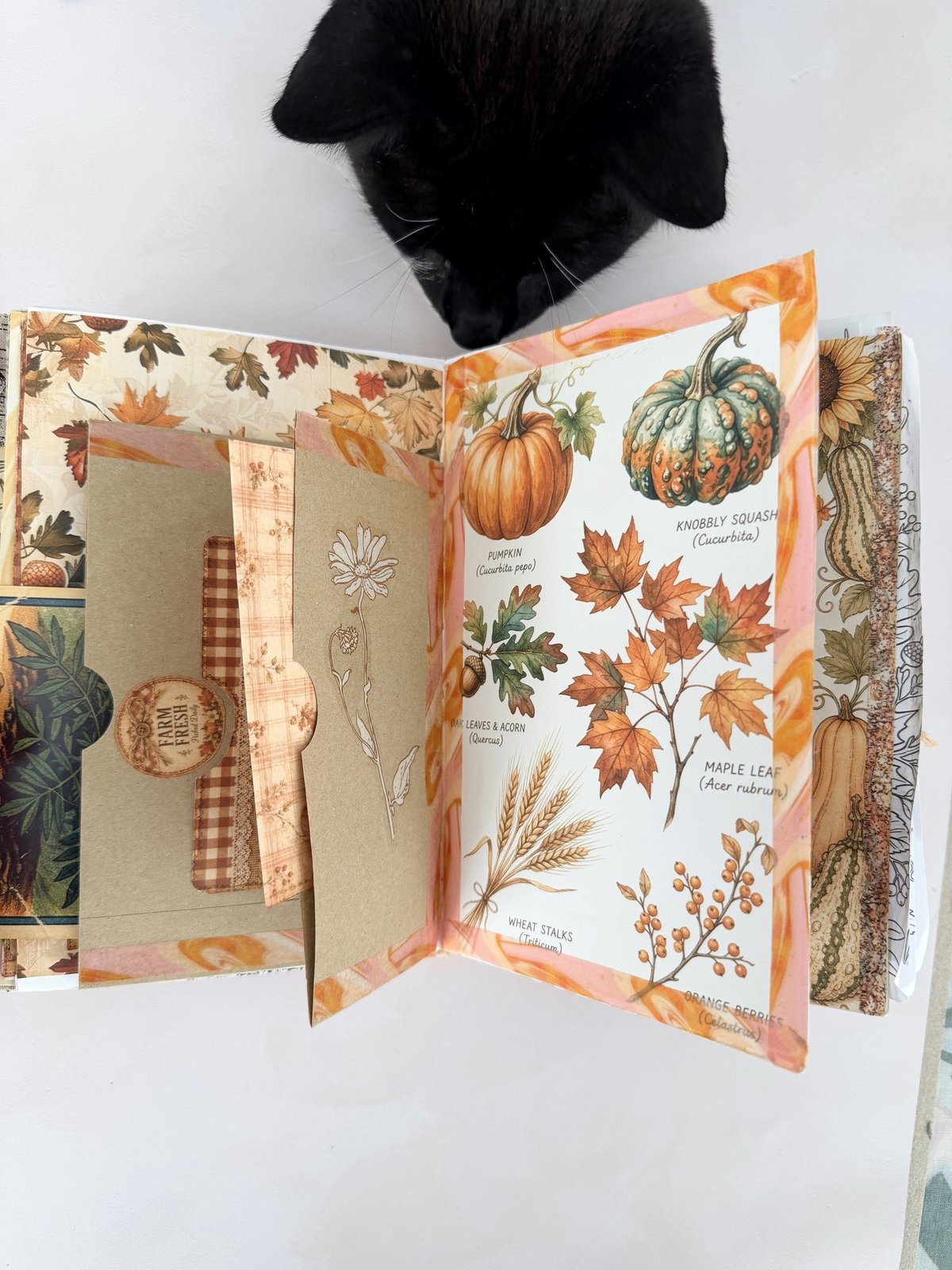 Open autumn junk journal with a small kraft flip-out booklet attached beside a botanical page