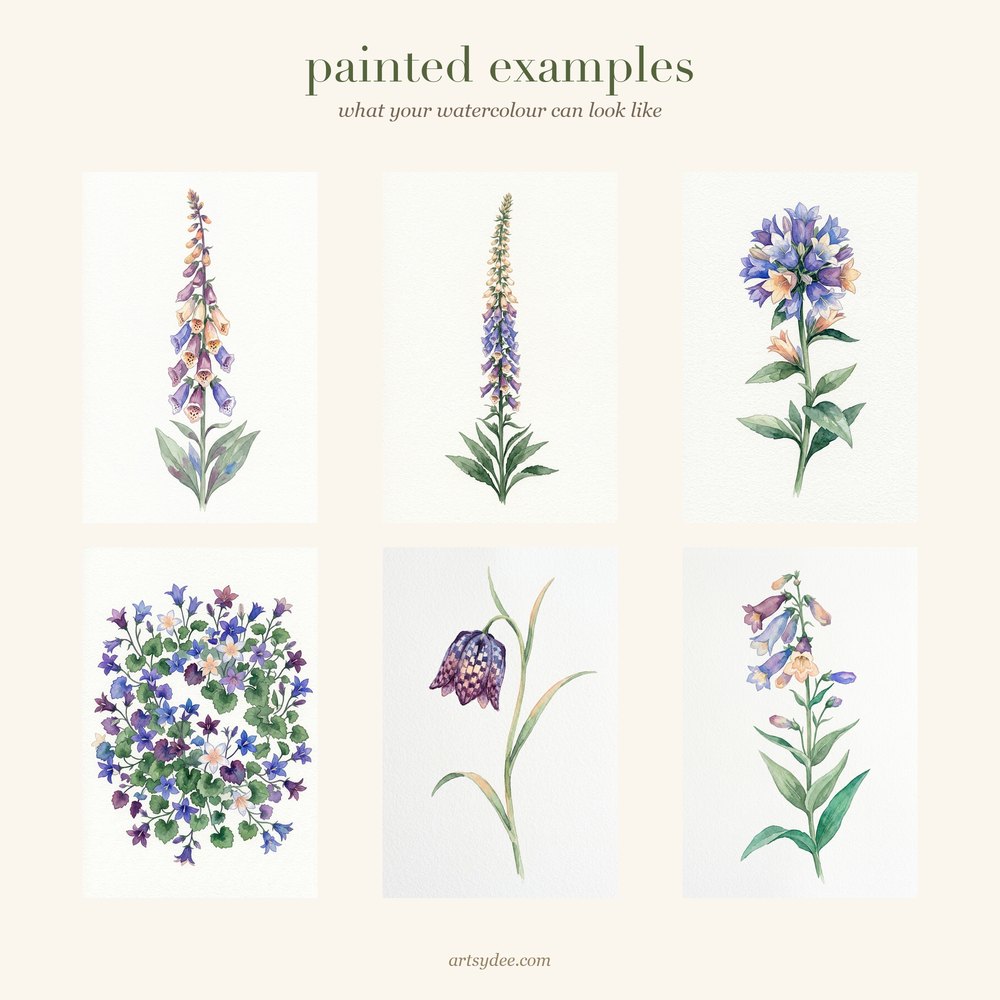 Painted examples from the Foxgloves and Bell Flowers watercolour templates