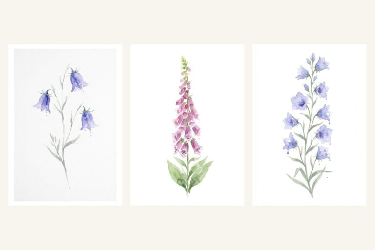 Three loose watercolor flowers side by side: a harebell, a pink foxglove and a blue bellflower