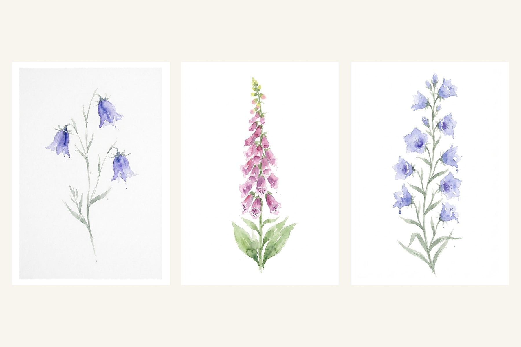 Three loose watercolor flowers side by side: a harebell, a pink foxglove and a blue bellflower