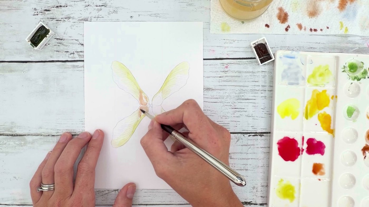 Painting the maple key seeds in watery burnt sienna so they melt into the wings