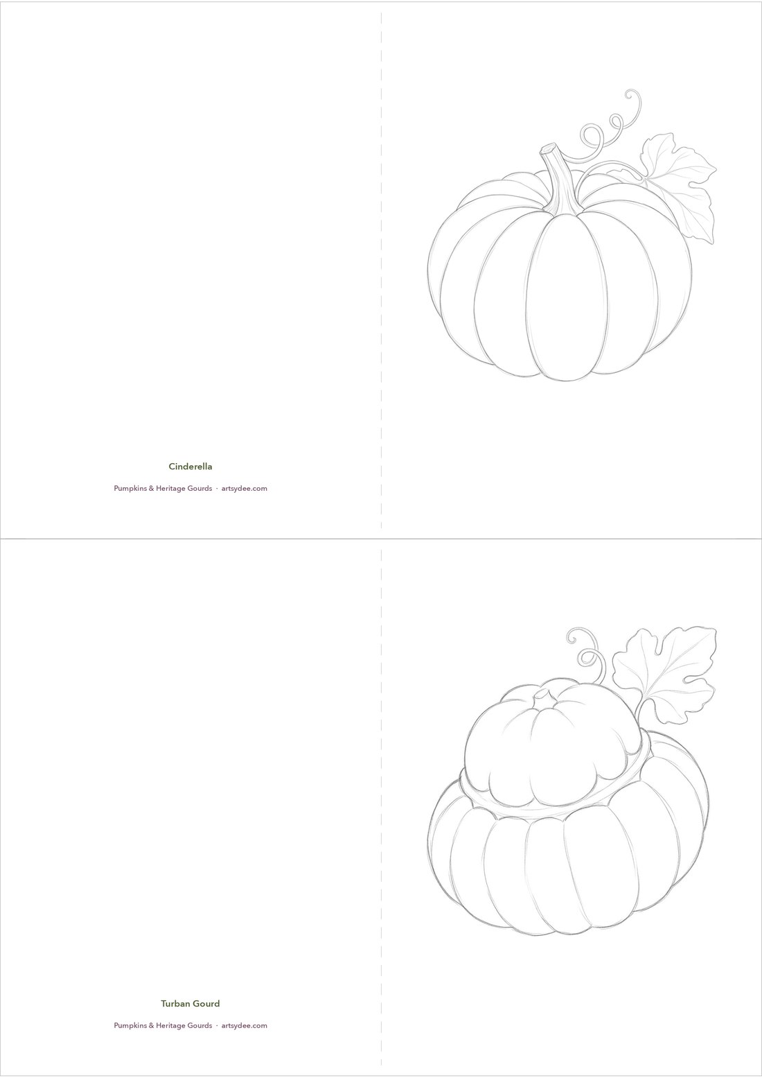 A printable A4 sheet with two fold-flat pumpkin card blanks, a Cinderella pumpkin and a Turban gourd, drawn in soft pencil lineart