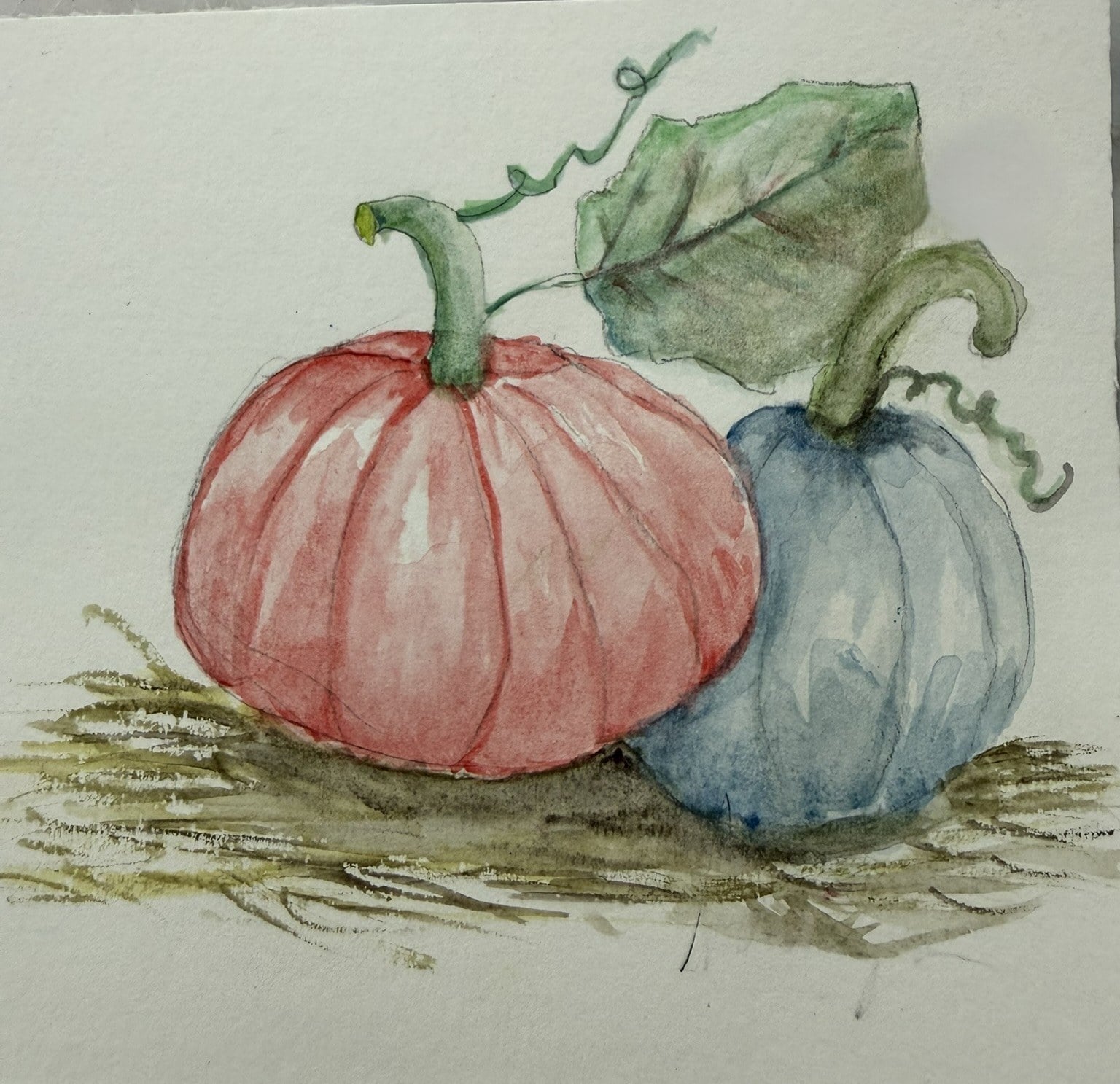 Two watercolour pumpkins sitting on straw, a ribbed coral one beside a smaller blue-grey one, with curling tendrils and a green leaf, painted by reader Avalyn.