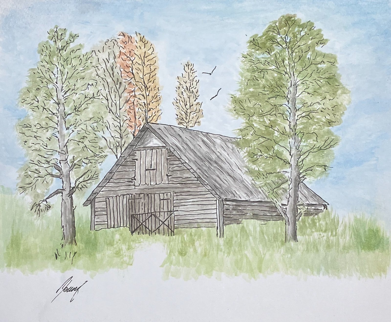Weathered timber barn among birch and poplar trees, pen and ink over watercolour, by reader Richard Young.