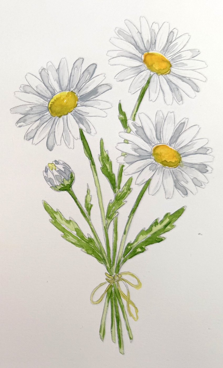 A finished watercolor bunch of ox-eye daisies with golden centres, soft grey petal shadows and a yellow ribbon