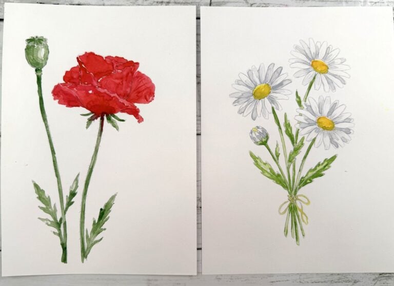 A red watercolor field poppy and a bunch of white ox-eye daisies painted by Dee on printed templates