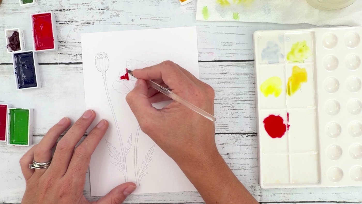Painting the first watery red wash onto alternate poppy petals