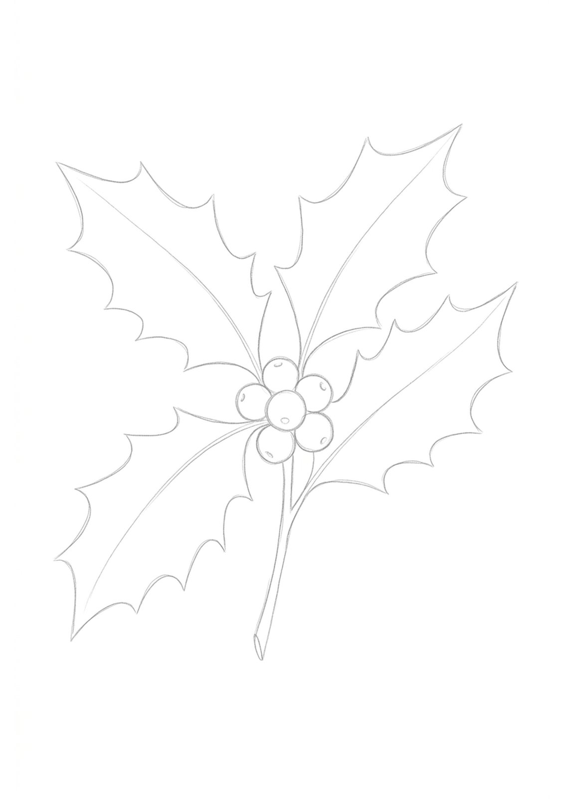 The free holly sprig watercolour template, a soft pencil outline of three holly leaves and berries on an A4 page