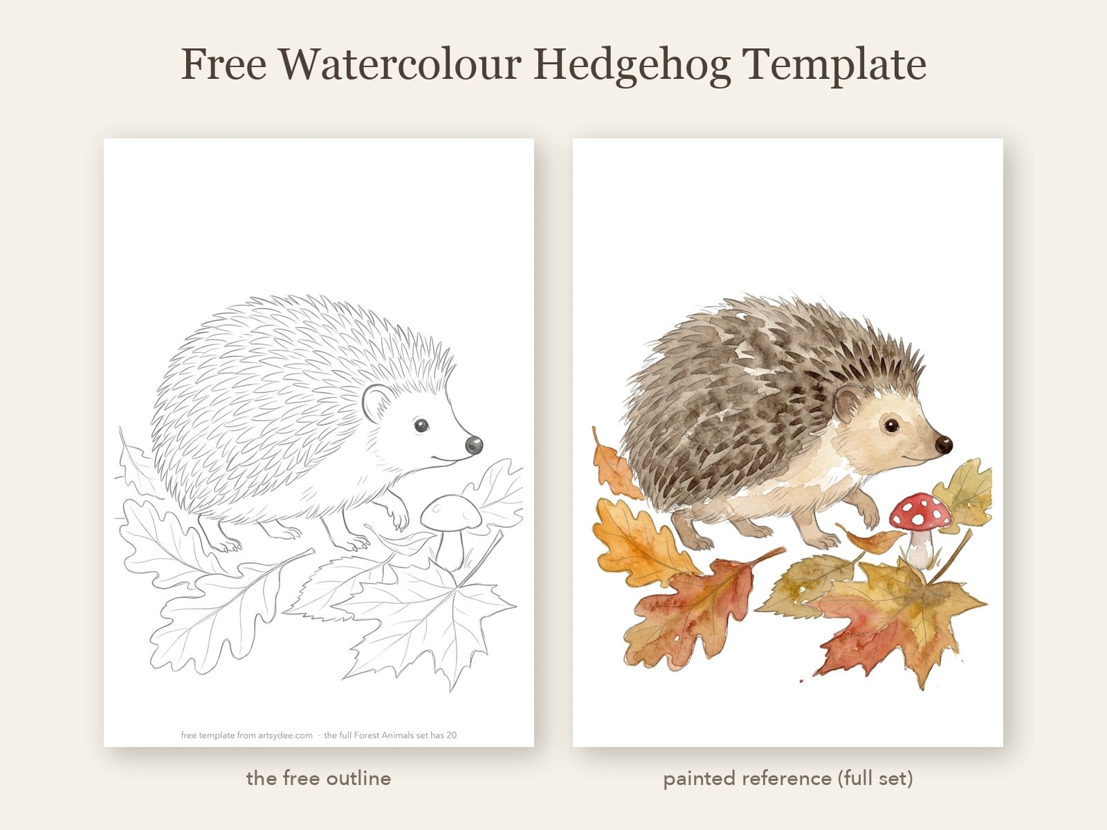 The free hedgehog outline template next to a loose watercolor painting of the same hedgehog in autumn leaves