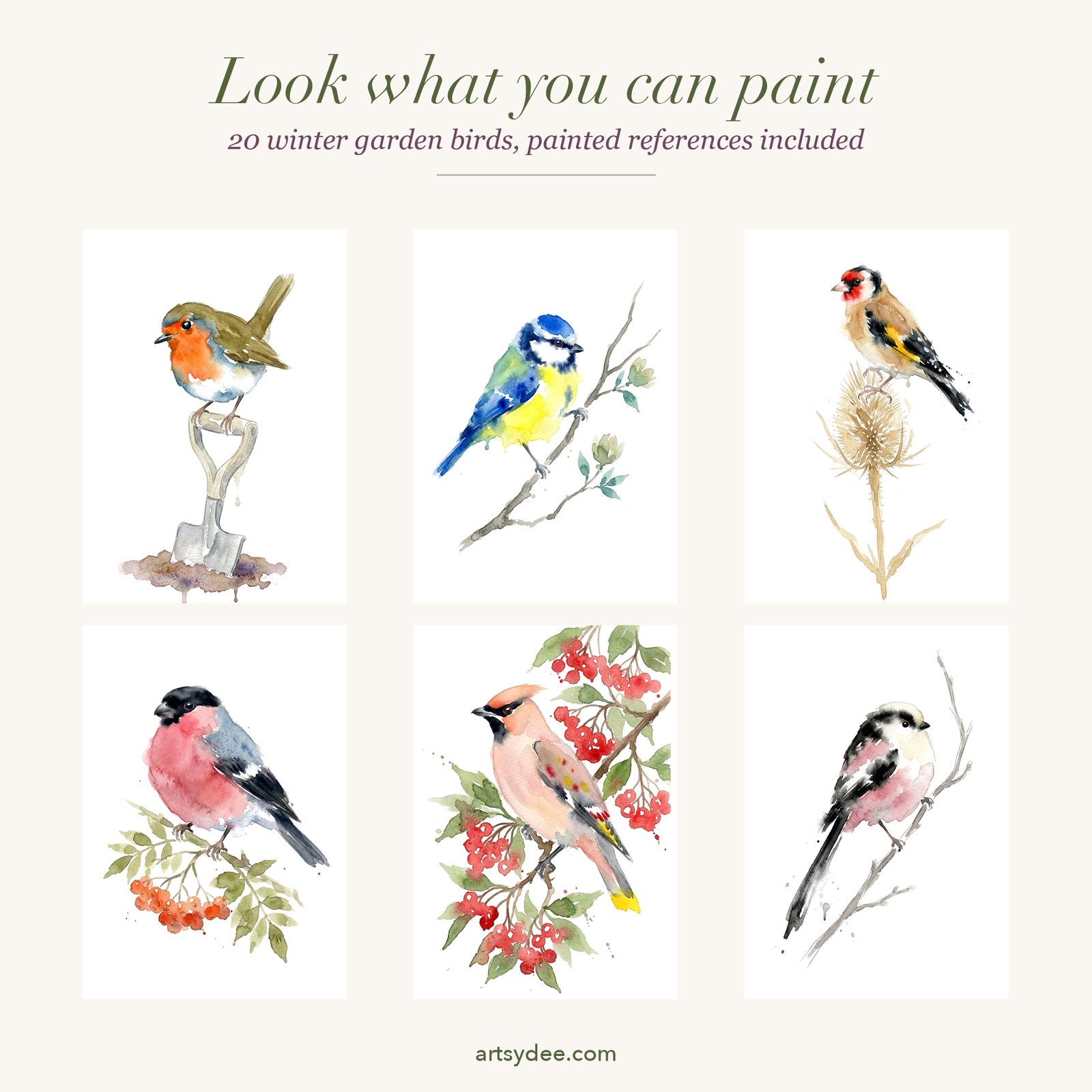 Painted references from Winter Garden Birds Identified: a robin, a blue tit, a goldfinch, a bullfinch, a waxwing and a long-tailed tit