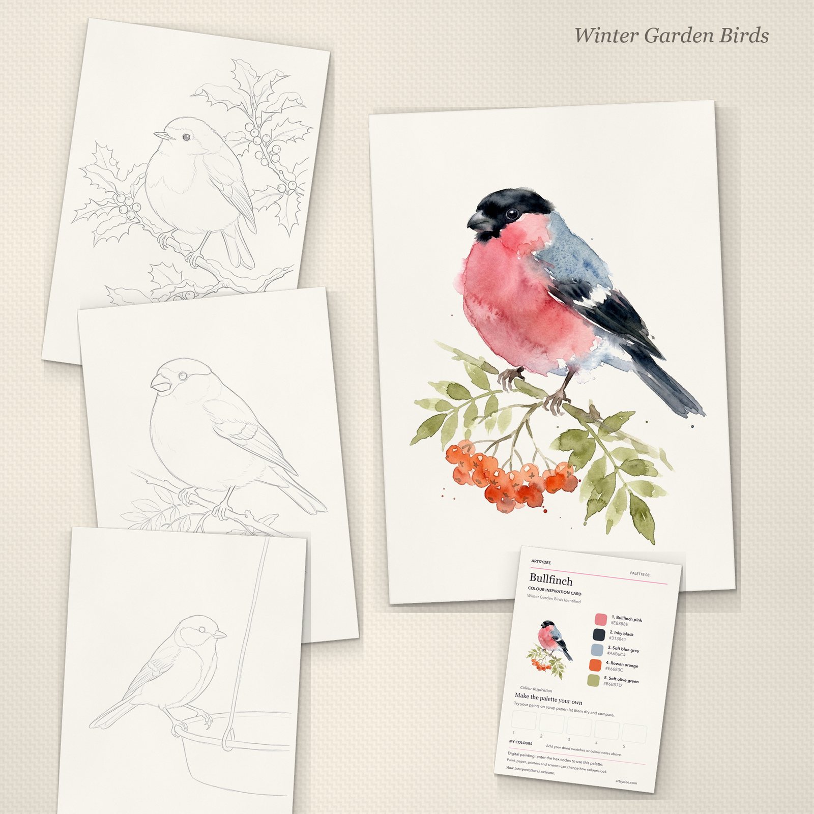 Winter garden bird watercolour templates printed out, with a painted bullfinch and its colour inspiration card